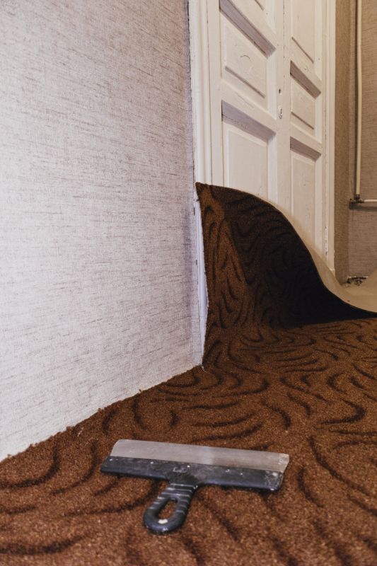 Carpet Repair Service in Alpharetta, GA