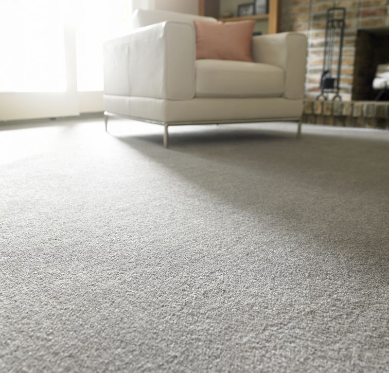 Plush Carpet Installation in Freehold, NJ
