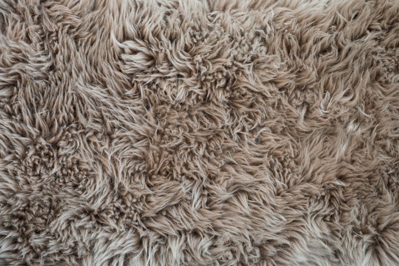 Shag Carpet Installation in Freehold, NJ